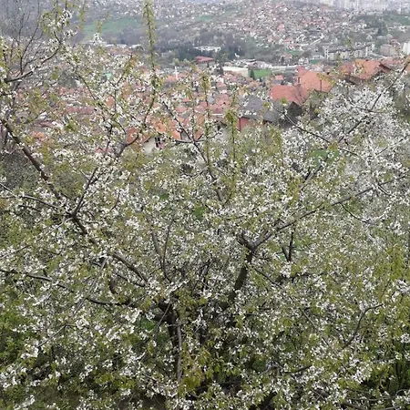 Dolipolje - Visoko
